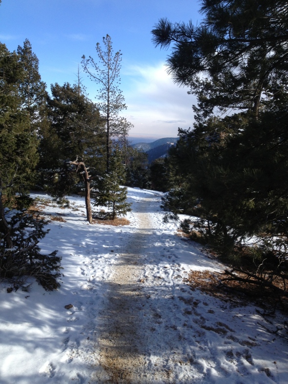 Beautiful Trail